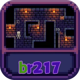 br217